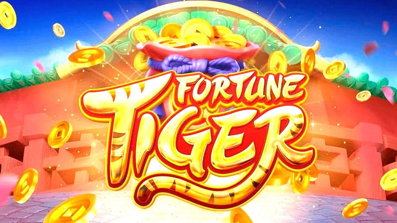 555rr bet