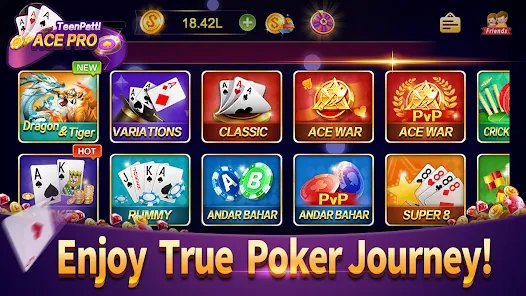555rr bet